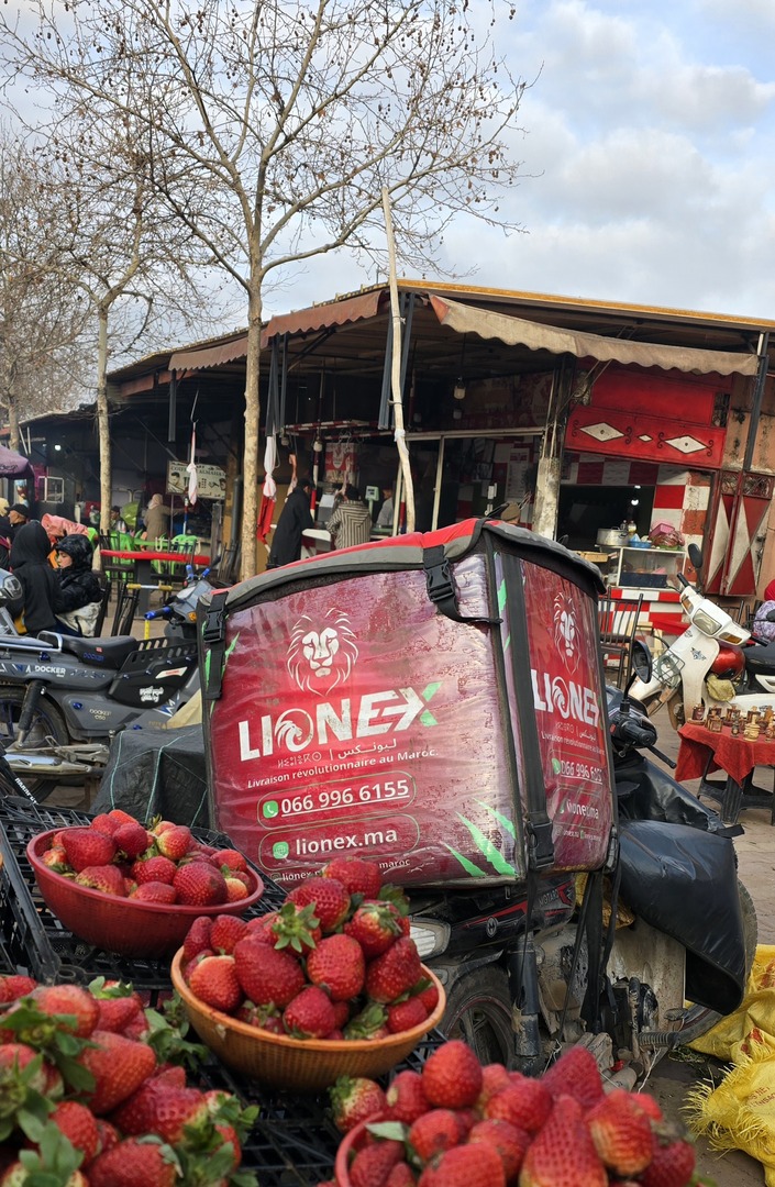 lionex